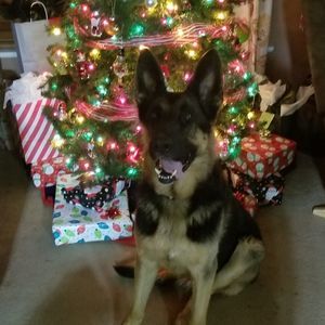 Meet your Posher, Lesley